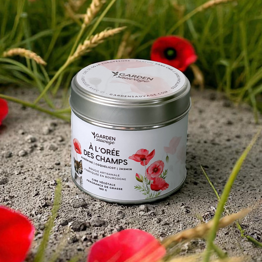 Bougie À l'orée des champs