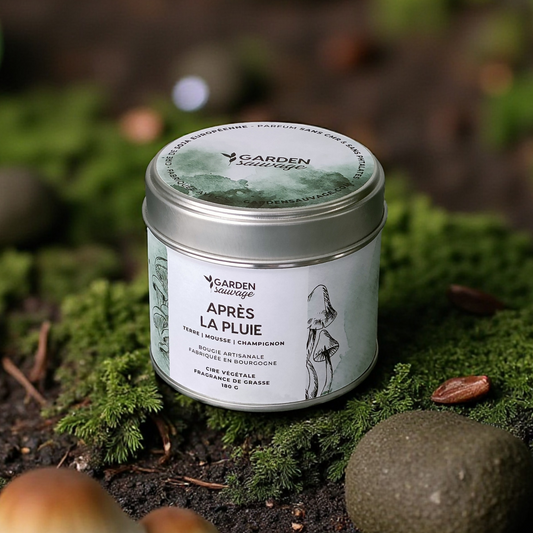 Bougie Sous la pluie