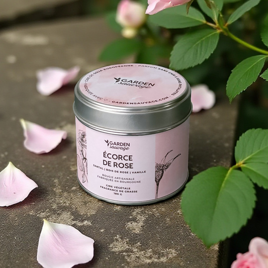 Bougie Écorce de rose