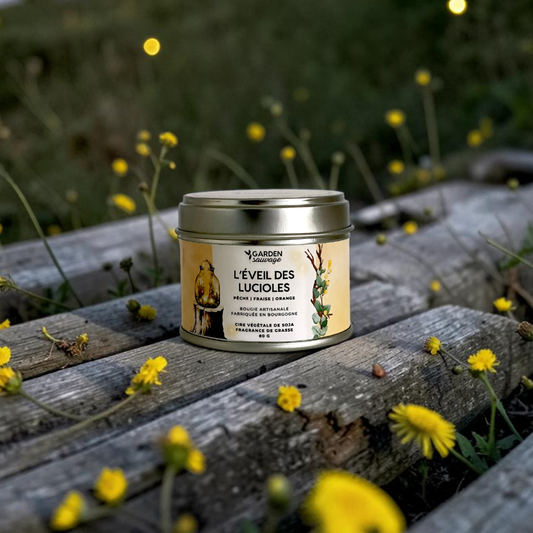 Bougie L'éveil des lucioles