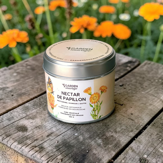 Bougie Nectar de papillon