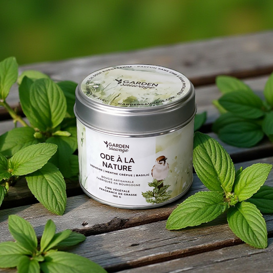 Bougie Ode à la nature