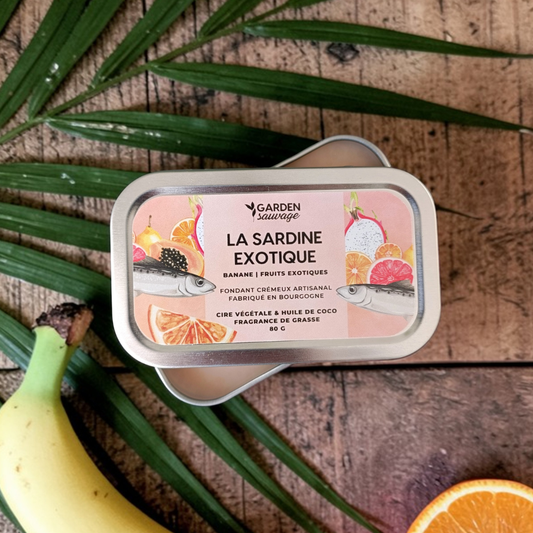 Fondant crémeux La sardine exotique