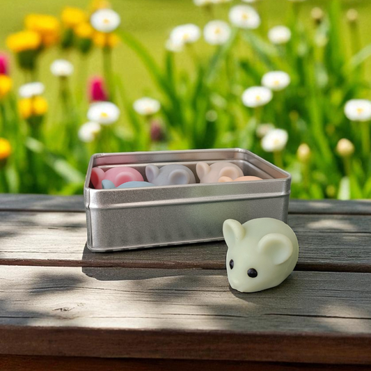 Boîte Les délices du chat