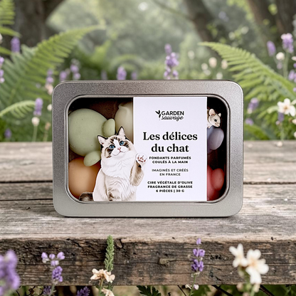 Boîte à fondants - Les délices du chat