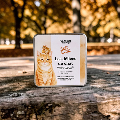 Fondants - Les délices du chat (édition limitée)