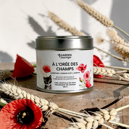Bougie À l'orée des champs