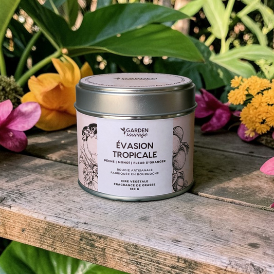 Bougie Evasion tropicale