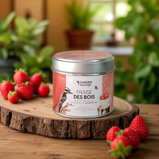 Bougie Fraise des Bois