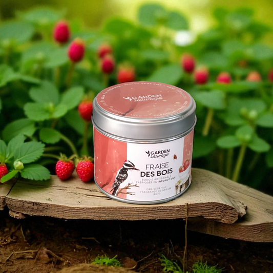 Bougie Fraise des Bois
