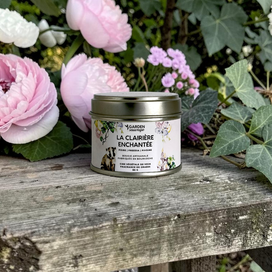 Bougie La clairière enchantée