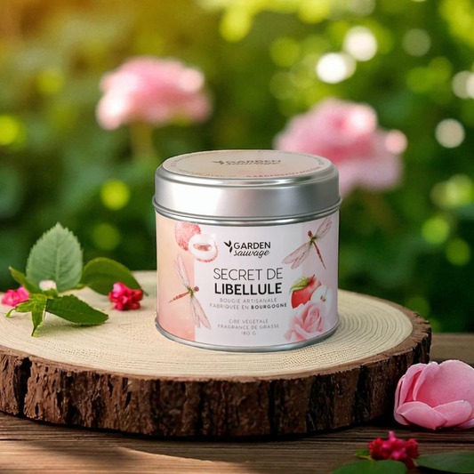 Bougie Secret de Libellule