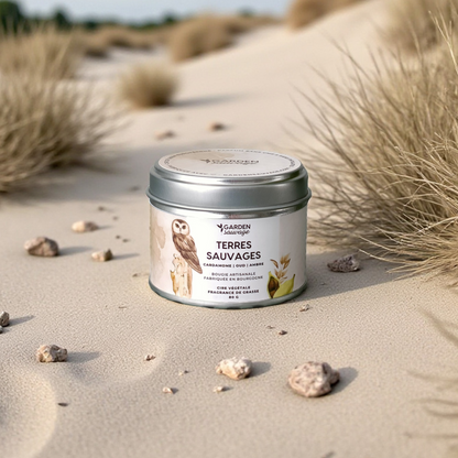 Bougie Terres sauvages