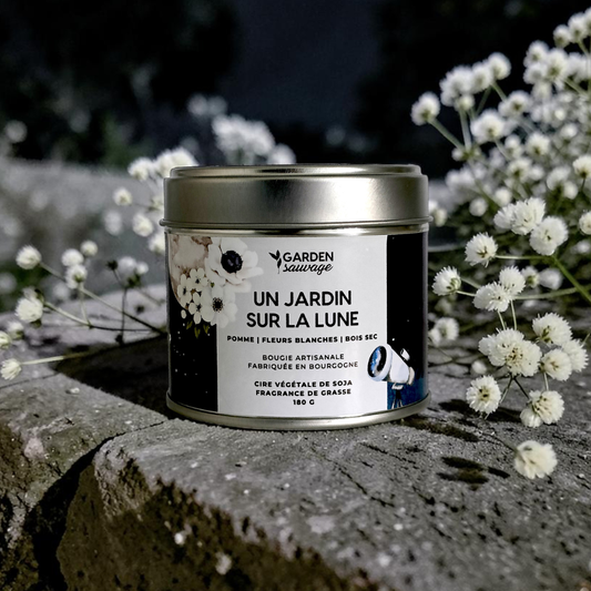 Bougie Un jardin sur la lune