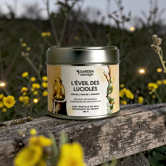 Bougie L'éveil des lucioles