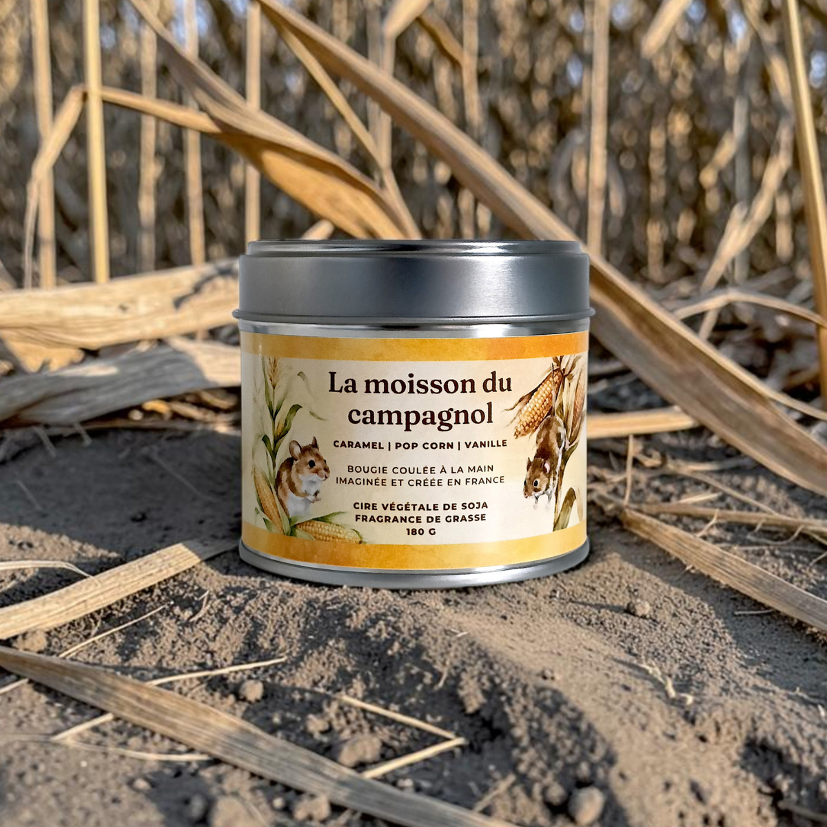 Bougie - La moisson du campagnol