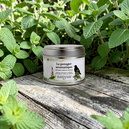 Bougie - Le potager aromatique