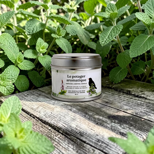 Bougie - Le potager aromatique