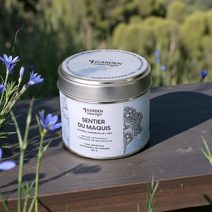 Bougie Sentier du maquis