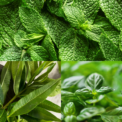 Bougie - Le potager aromatique