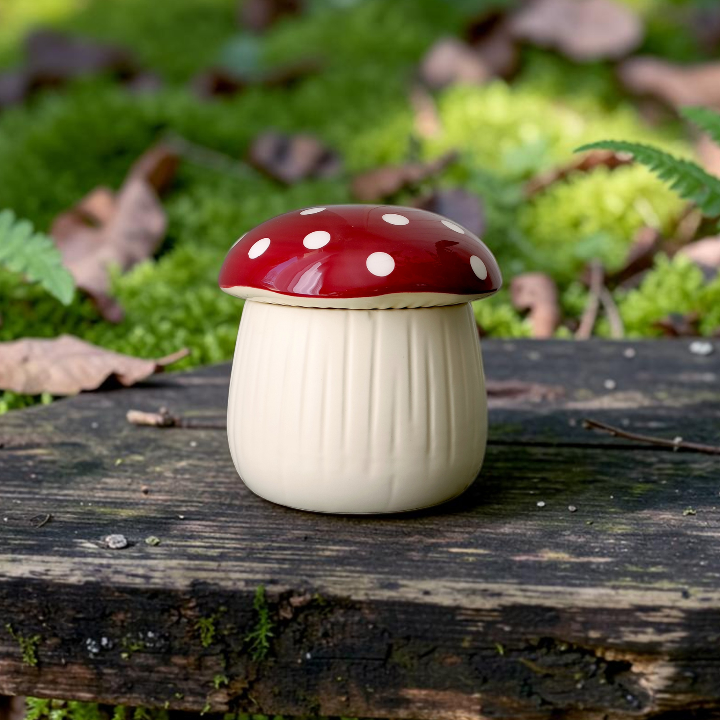 Diffuseur - Champignon