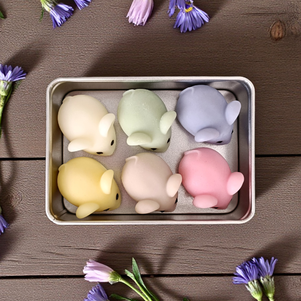 Boîte Les délices du chat