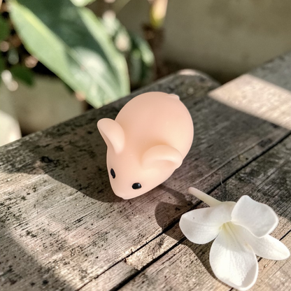 Souris parfumée